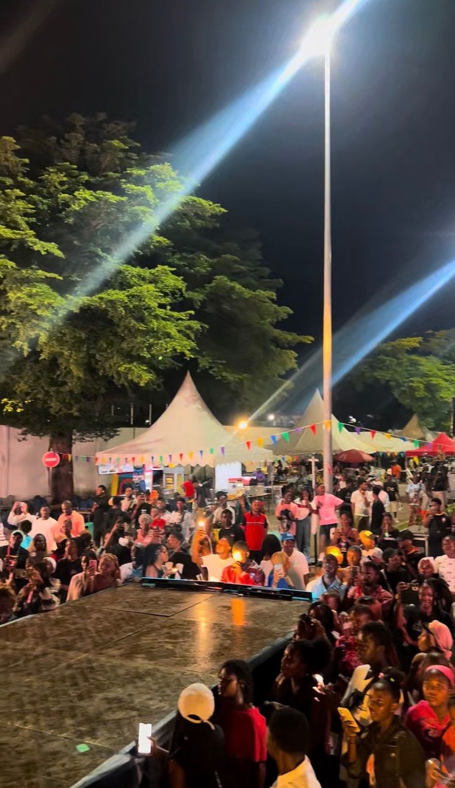 La foule AfroWave Festival